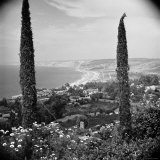 Garden Overlooking the California Pacific Coastline