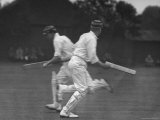 Cricket Match