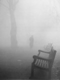 Fog Shrouding Park Bench