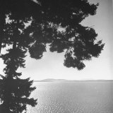 View of Northern Puget Sound