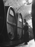 Jesuit Novitiate Winery  Oak Casks of Wine in Underground Tunnel of Winery