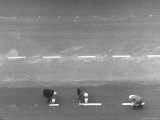 Women Painting White Traffic Lines