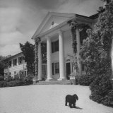 Pillars on the Front of the Colonial Home