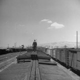Man Walking Atop a Freight Train Heading Westbound