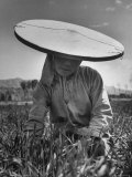 Farm Woman Made Her Own Hat of White Muslin and a Bamboo Hoop