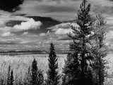 Beautiful Scene of the Countryside as Seen from the Alcan Highway