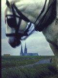 Horse Working Field and Man Riding Bicycle Along Winding Road Approaching Chartres Cathedral