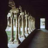 Cloister of Monastery of St Paul de Mausole  Asylum to Which Van Gogh Admitted Himself at St Remy