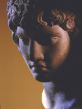 Head of Antinous  Favorite of Emperor Hadrian