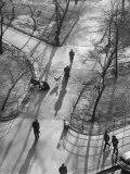 Afternoon Sunlight Casting Long Shadows in Washington Square Park