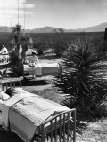 Arthritis Patients Being Tended to by Nurses as They Undergo Sunbathing Treatment at Desert Clinic