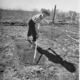 The Little Boy is Smoothing the Plot and Raking Away Debris