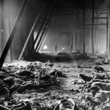 Corpses Litter Gardelegen Warehouse After SS Guards Burn Prisoners to Keep Them Out of Allied Hands