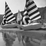 Under Full Trim  Two Catamarans Sitting at Water's Edge  Waiting to Be Set Afloat