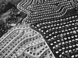 Aerial View of Suburban Housing Development under Construction