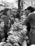 Illegal White Bread For Sale in Black Market