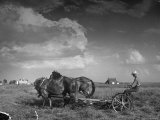 Farmer Driving Horses in the Field
