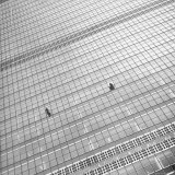 Window Cleaners Cleaning Windows High Up on the United Nations Building