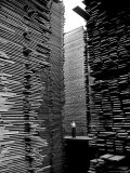 Man Standing in the Lumberyard of Seattle Cedar Lumber Manufacturing