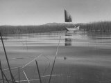 Fisherman Sitting in His Boat