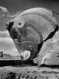 Head of Bull in Ruins of the Ancient Royal City of the Persian Empire