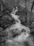 Gentle River Flowing Through Lonely Woody Forest Where Wordsworth Wrote Poetry