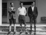 Bermuda Shorts
