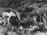 Prospector Travis Marlowe Continuing His Search in Superstition Mountains of Southern Arizona