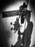 Half Dozen Red French Roses Ordered For Marilyn Monroe's Tomb Tri-weekly by Joe DiMaggio