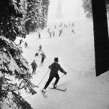 View of People Skiing at Steven's Pass