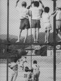 Child Fans of Baseball Watching on a Fence