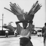 Nigerian Woman Carrying Large Basket of Wood on Her Head