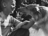 Boy with His Pet Collie