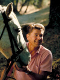 California Governor Candidate Ronald Reagan Petting Horse at Home on Ranch