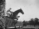 English Steeplechase Jump on Course in England