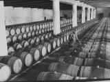 Cellar of Maturing Wines as Wine Maker Tests with Pipette
