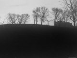Barren Trees Form a Line Near Empty Barns at a Restored Shaker Village