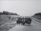 Cart Carrying Grain