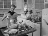 Attractive Housewife in Modern Kitchen  Preparing Food