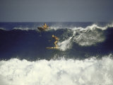 Surfing  Manly Beach  Near Sydney