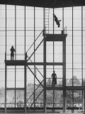 Diving at the Olympic Pool