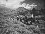 Family Vacationers Riding Pack Mules Into Hills For Some Camping  Rocky Mountain Auto Tour