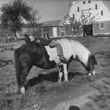 Young Boy Riding on a Pony with His Dog