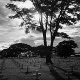 Ft McKinley US Military Cemetery with Rows and Rows of White Crosses