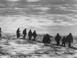 School Children Studying Nature on Their Field Trip in the Winter