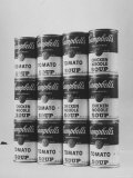 Campbell's Soup Cans Being Used as Example of Pop Culture