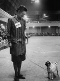 Best of Breed and Class Winner at Cruft's Dog Show