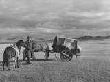 Man and Two Horses Pulling a Two Wheeled Mongolian Cart