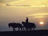 Sunset Silhouetting Home Bound French Farmer Atop His Horse Drawn Wagon