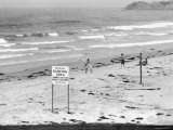 Surfers Walking to Water Behind Sign Reading "Official Surfing Area"